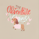 THE ADVENTURE - CAMEL